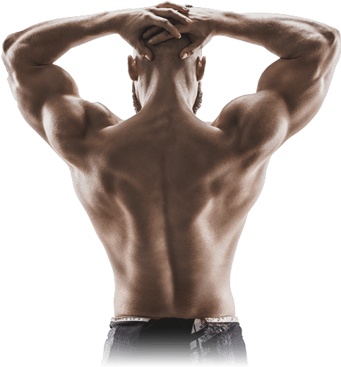 Ems Unit Muscle Recovery Hidow - Back View Muscular Man (534x524), Png Download