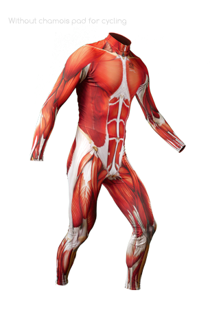 The Muscle Skin Suit Line Is A Collection Of Skin Suits - Muscle Exposed Arm (314x451), Png Download