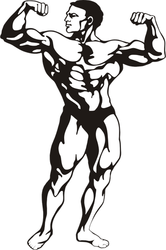 Muscular Man Public Domain Vectors - Bodybuilder Clipart (331x500), Png Download