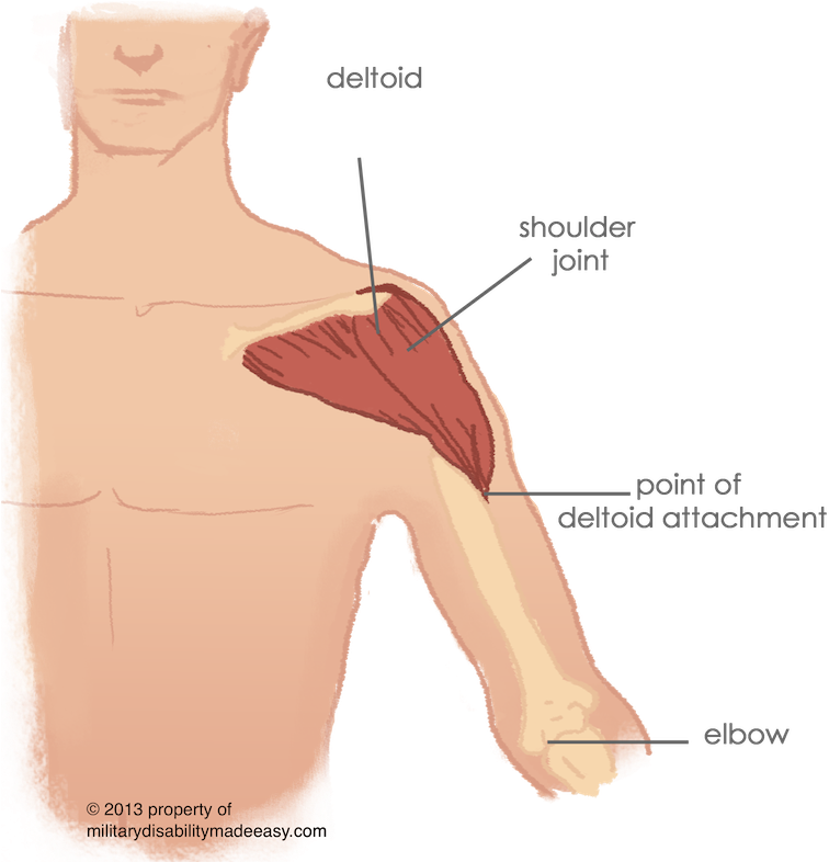 Shoulder Muscle 15 - Varicose Vein In Shoulder (762x785), Png Download