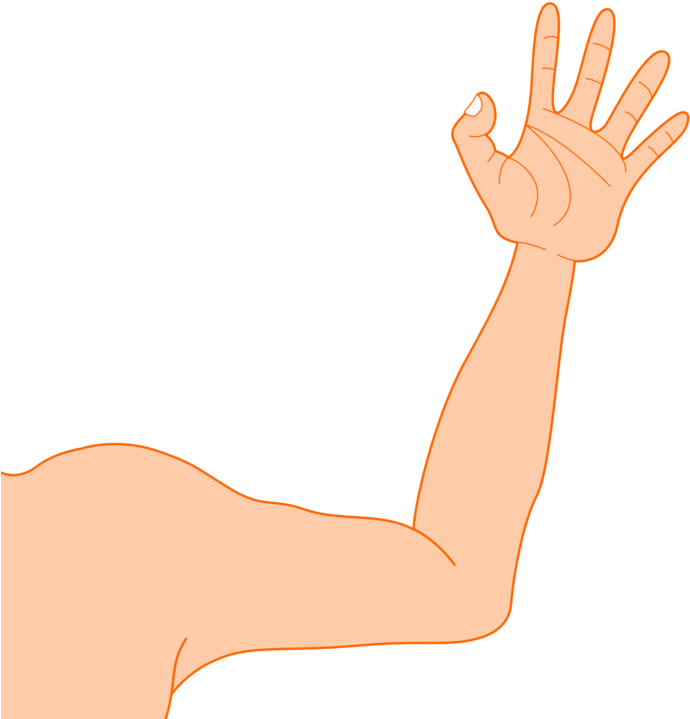 Robotic Arm Muscle Blog Document - Arm Clip Art (938x750), Png Download