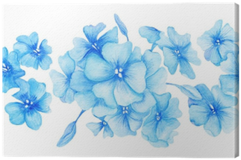 Blue Hydrangea Watercolor Illustration Canvas Print - Hydrangea Png Small Watercolour Hydrangea (400x400), Png Download