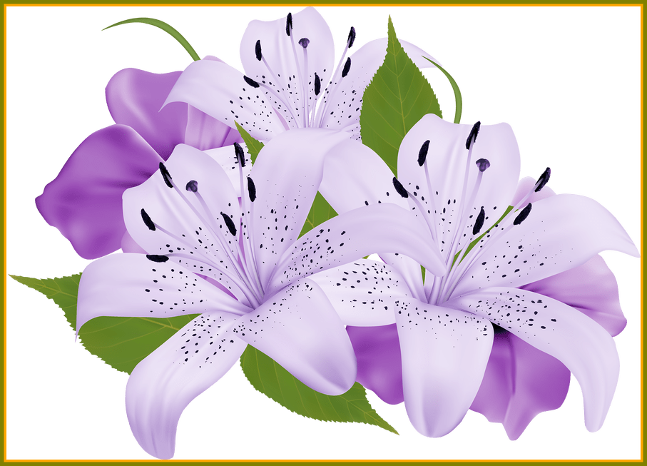 Appealing Decorative Flowers Png Ogrod Picture Of - Purple Flower Clipart Watercolor Png (907x653), Png Download