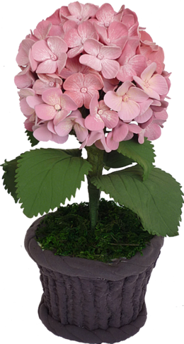 Download Clip Art Clipart Hydrangea Clip Art - Hydrangea (260x486), Png Download