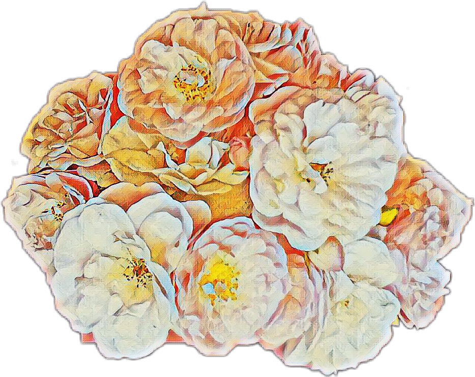 Report Abuse - Chinese Peony (1368x760), Png Download