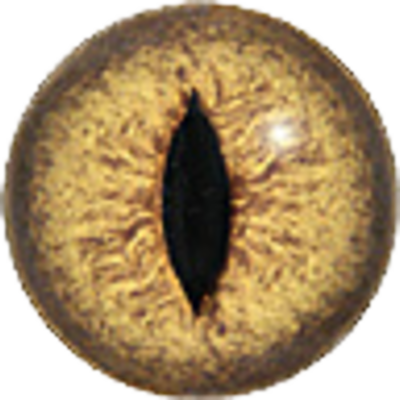 Yellow Snake Eye Psd 438664 - Accessoires - Les Yeux De Créature Dans 7 Différentes (400x400), Png Download
