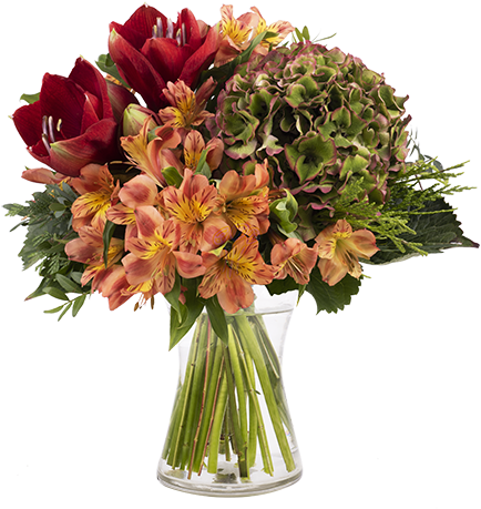 Amaryllis And Hydrangea - Fall Funeral Flower Arrangements (480x480), Png Download