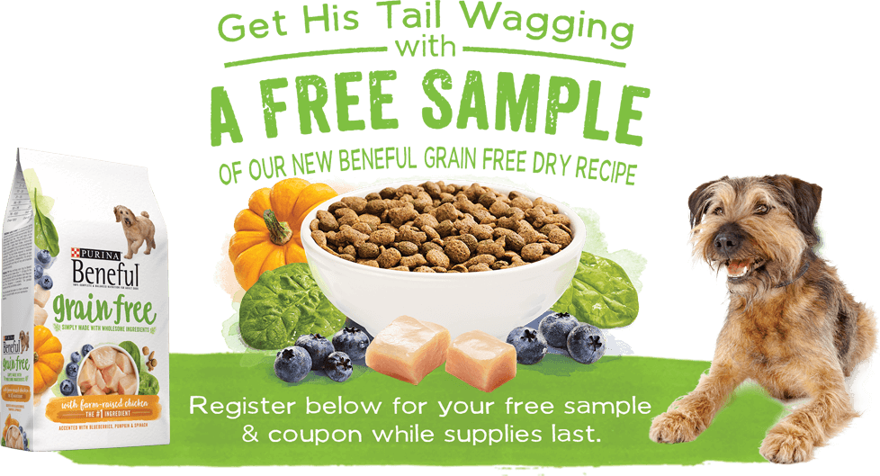 Beneful Grain Free Dog Food Sample - Purina Beneful Grain Free With Real Chicken (978x529), Png Download