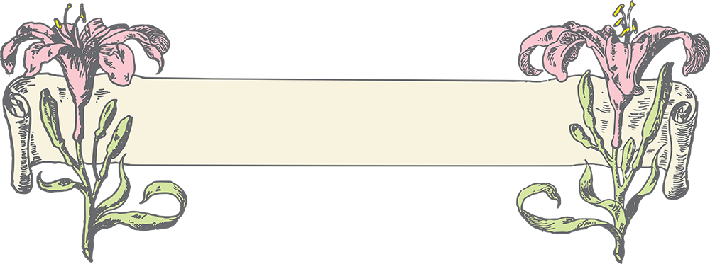 Colored Jpeg - Easter Lily (1000x373), Png Download
