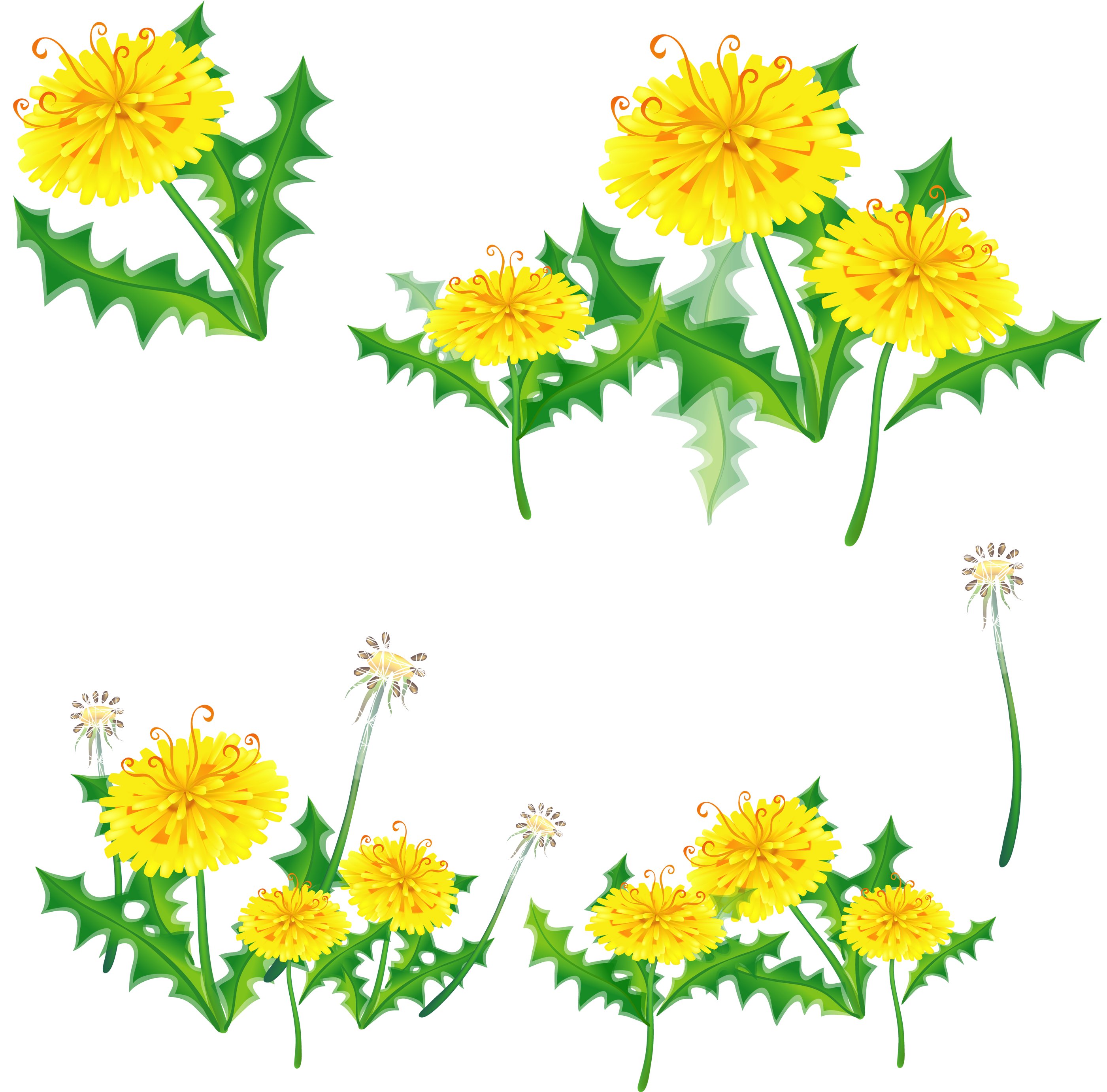 Dandelions Png - Yellow Flower Border Transparent (2900x2761), Png Download