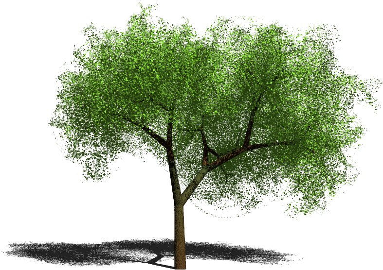 Curtido Curtir Compartilhar - Tree (1024x768), Png Download
