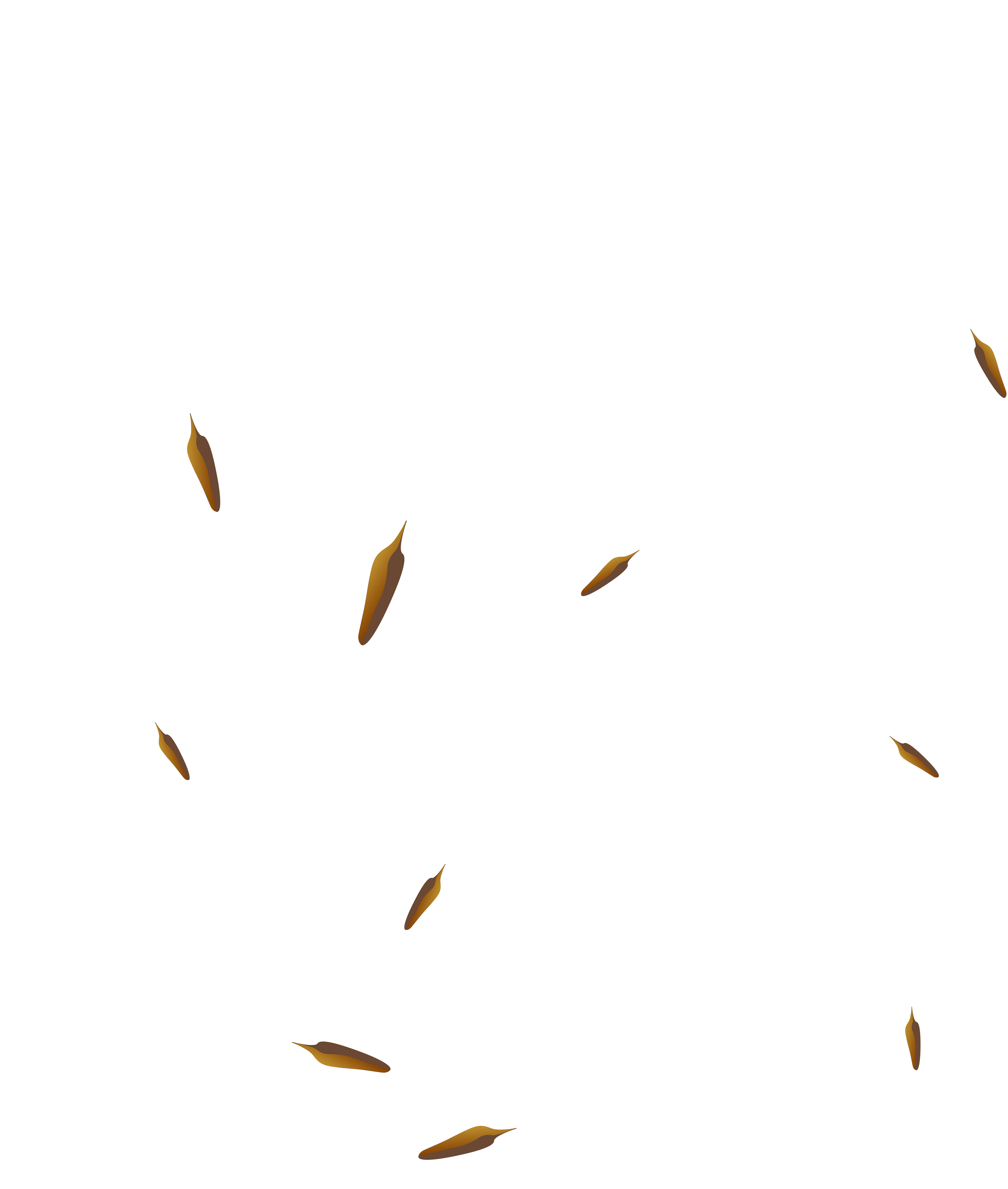 Dandelions Png (6826x8000), Png Download