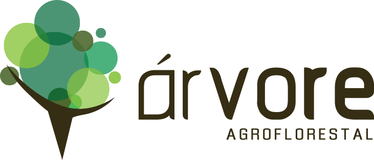 Arvore (731x314), Png Download