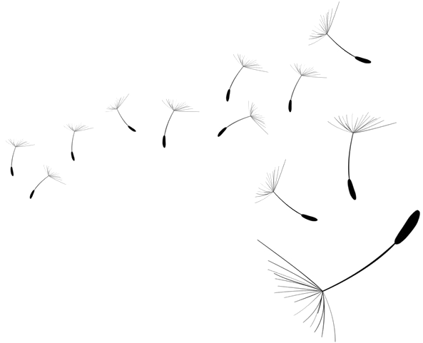 Drawing (800x800), Png Download