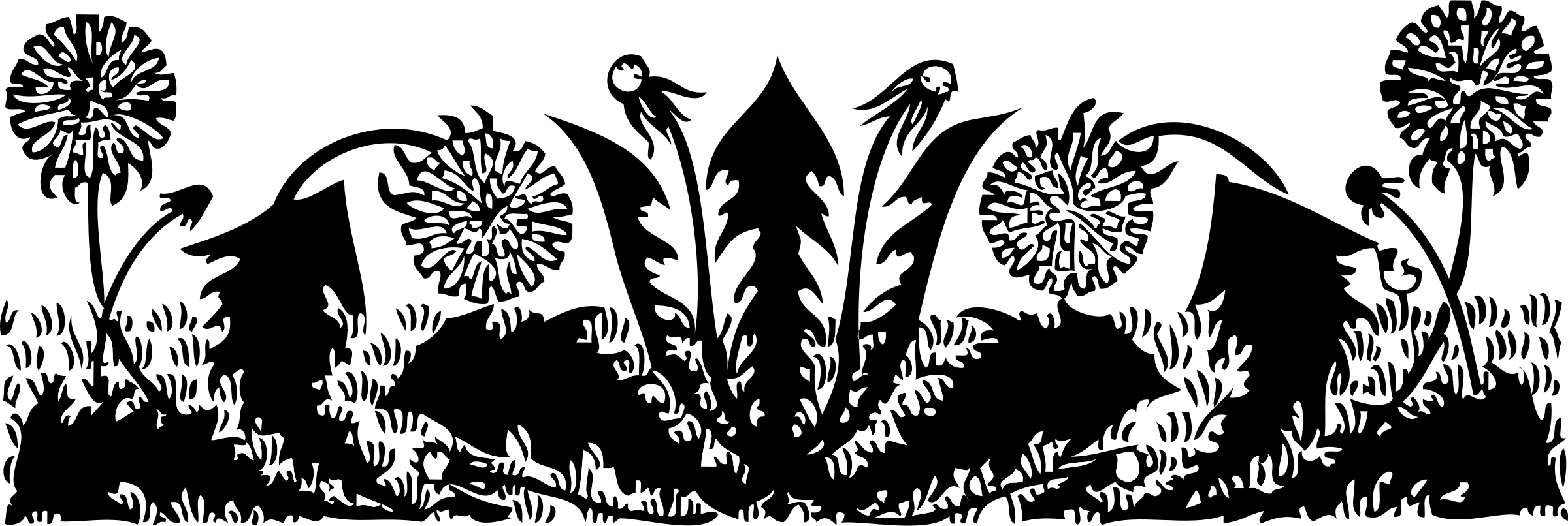 Dandelions Png (2400x806), Png Download