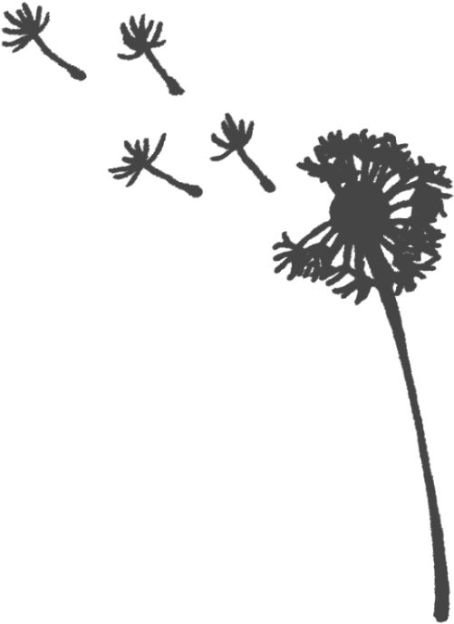 Freetoedit Dandelions Dandelionseeds Png Transparentbac - Silhouette (1024x1365), Png Download