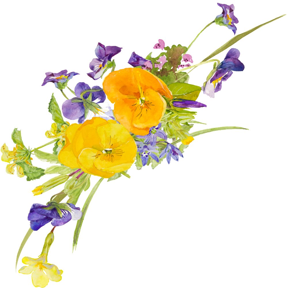 Yellow Flower Watercolor Hand Painted Transparent - Yellow (1024x1015), Png Download