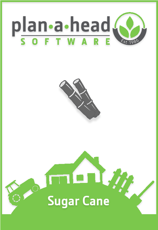Plan A Head Sugar Cane Software - Software (800x800), Png Download