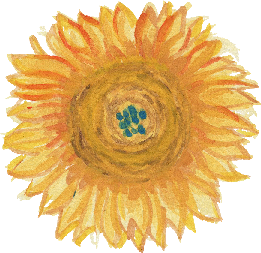 Free Download - Sunflower (870x843), Png Download