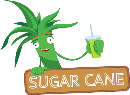 Sugar Cane Juice Glass Png Sugarcane (437x320), Png Download