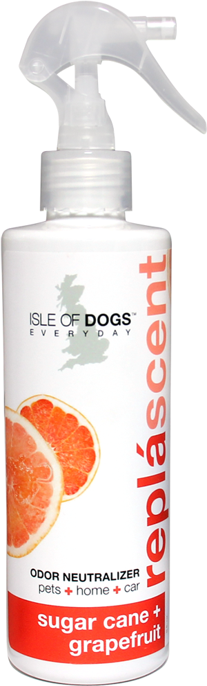 Isle Of Dogs Sugar Cane + Grapefruit Replascent Dog (1000x1000), Png Download