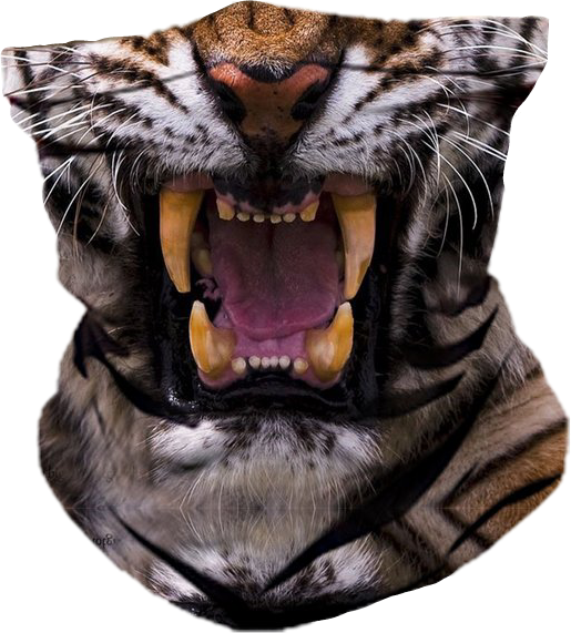 Share This Image - Wildlife Heritage Foundation (515x571), Png Download