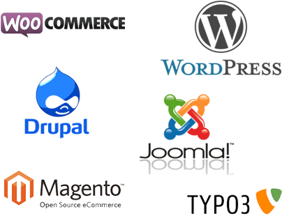 A Company's Website Now Plays A Vital Role In The Day - Websites That Are Dynamic (450x330), Png Download