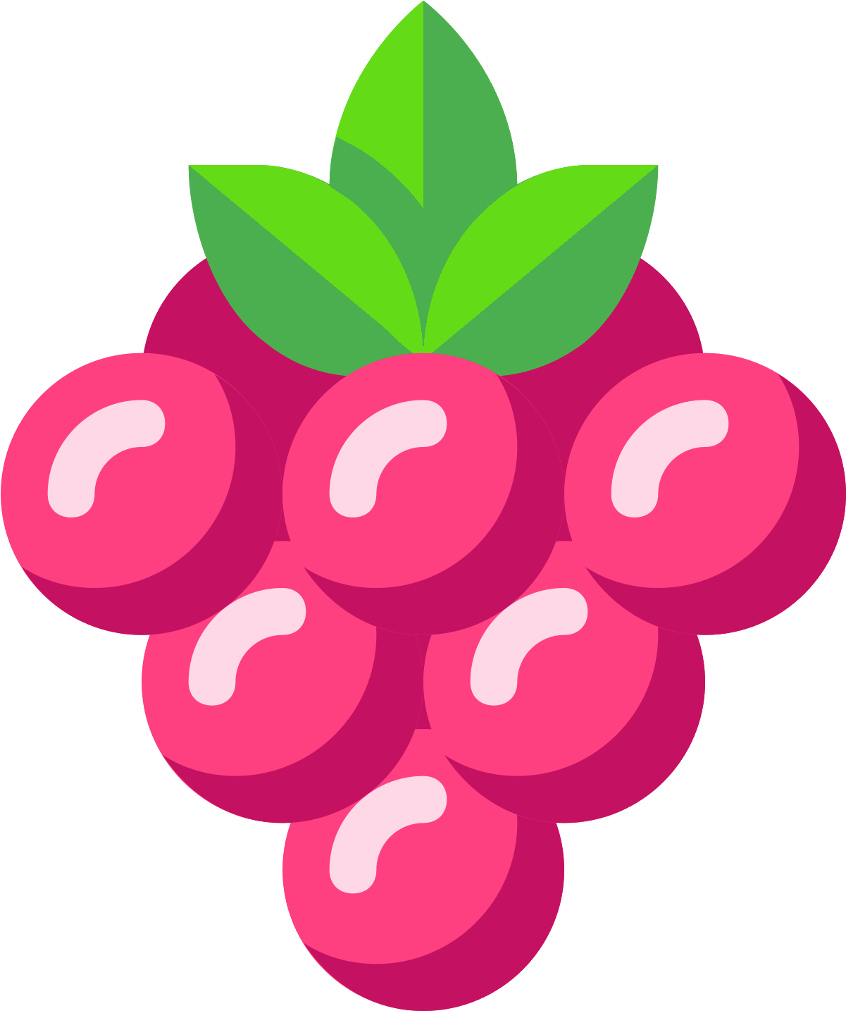Berry Vector - Berry Png (1600x1600), Png Download