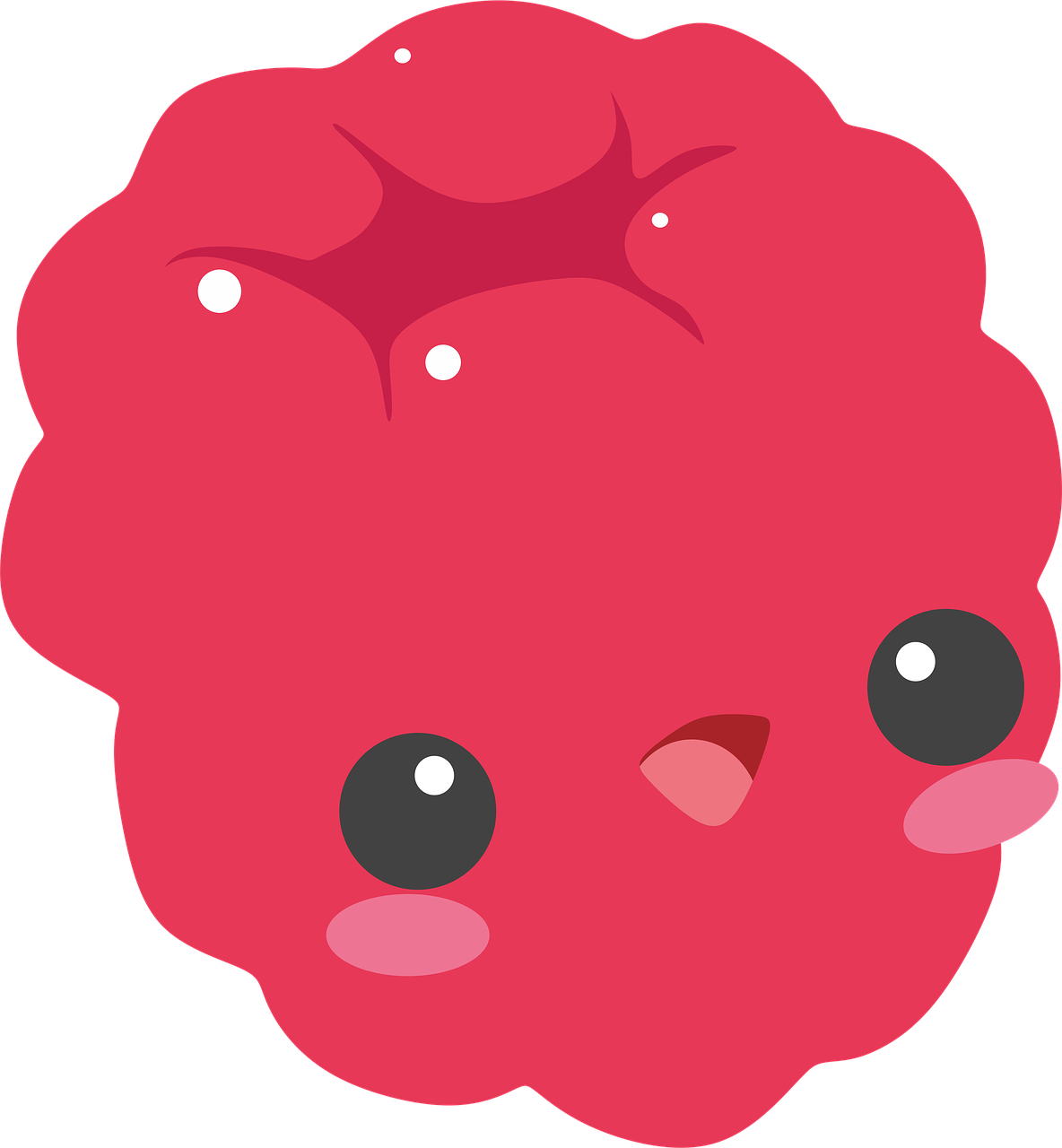Raspberry Raspberries Red - Cute Raspberry (1184x1280), Png Download