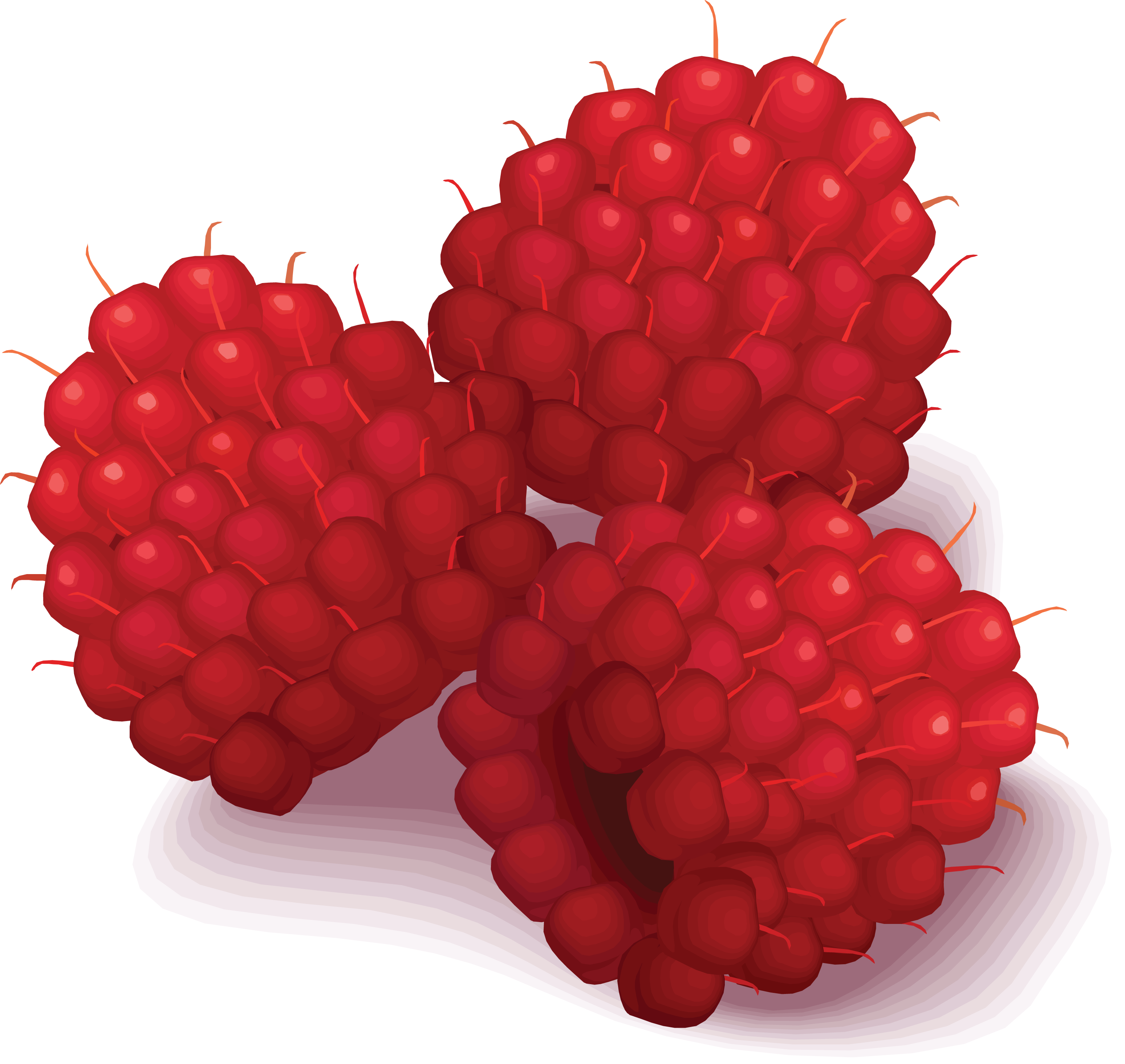 Raspberries Clipart (3098x2932), Png Download