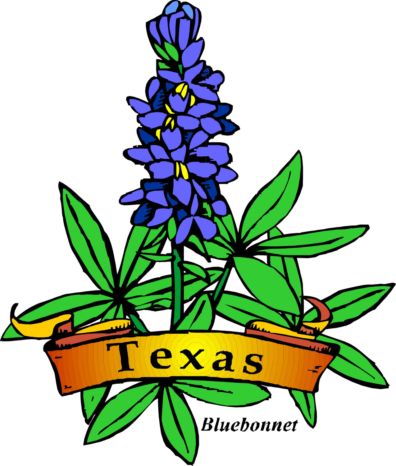Texas Theme Day Camp, Shac Png Royalty Free Download - Texas State Flower Drawing (1275x1500), Png Download