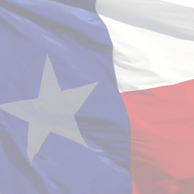 Support This Campaign By Adding To Your Profile Picture - Texas Profile (400x400), Png Download