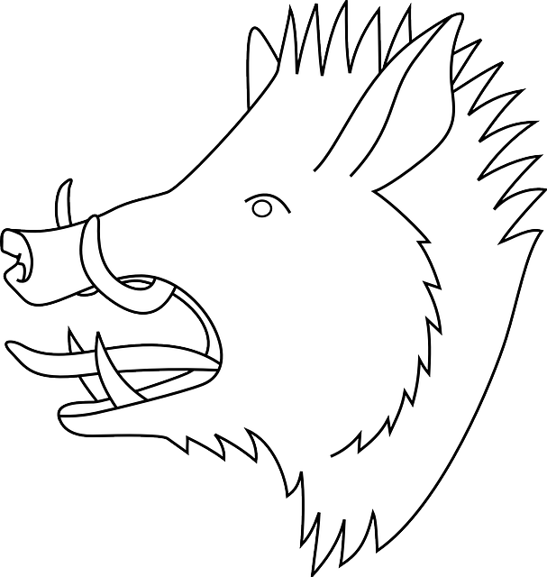 Head, Outline, Drawing, Silhouette, Cartoon, Pig, Wild - Boar Head Clip Art (607x640), Png Download