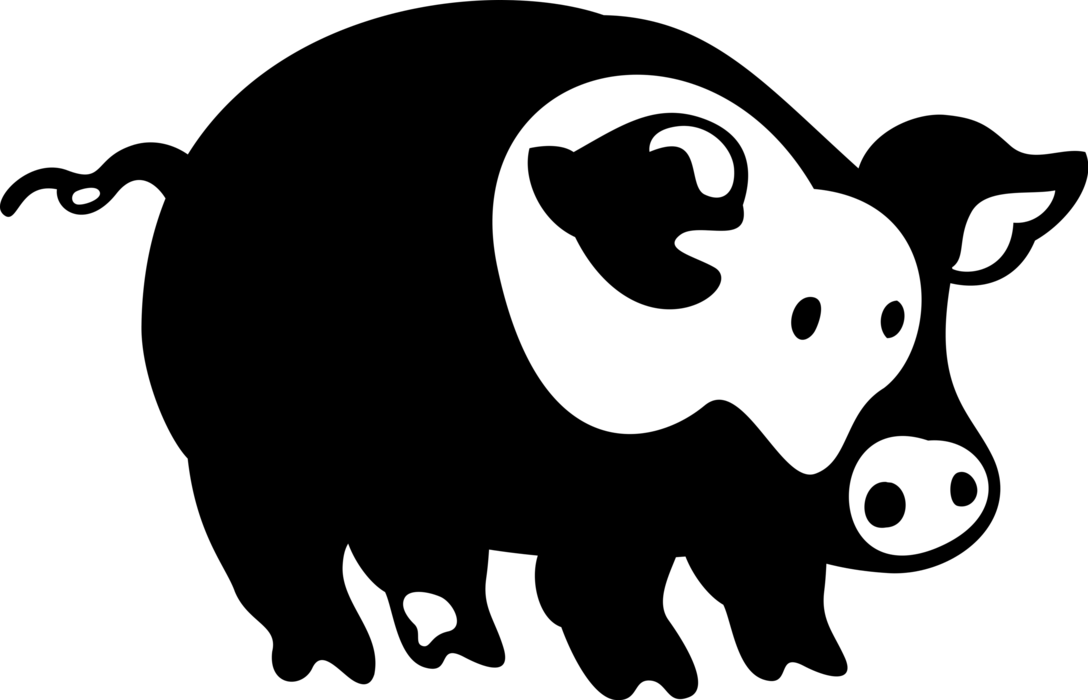 Farm Livestock Swine Pig - Domestic Pig (1088x700), Png Download