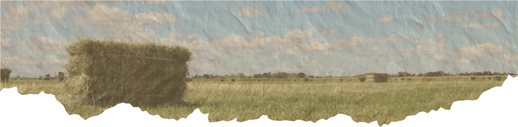 Clipart Royalty Free Library Sacramento County Farm - Natural Environment (1800x450), Png Download