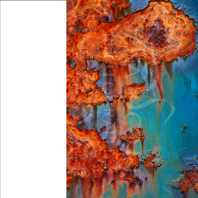 Photograph Analysis - Visual Arts (800x800), Png Download
