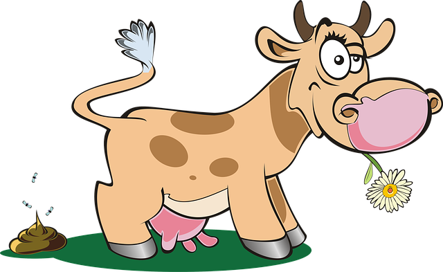 Cattle (640x393), Png Download