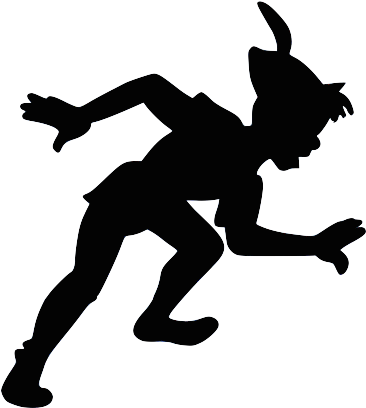 Here's A Transparent Peter Pan For Your Timeline - Funny Peter Pan Shirt (500x500), Png Download