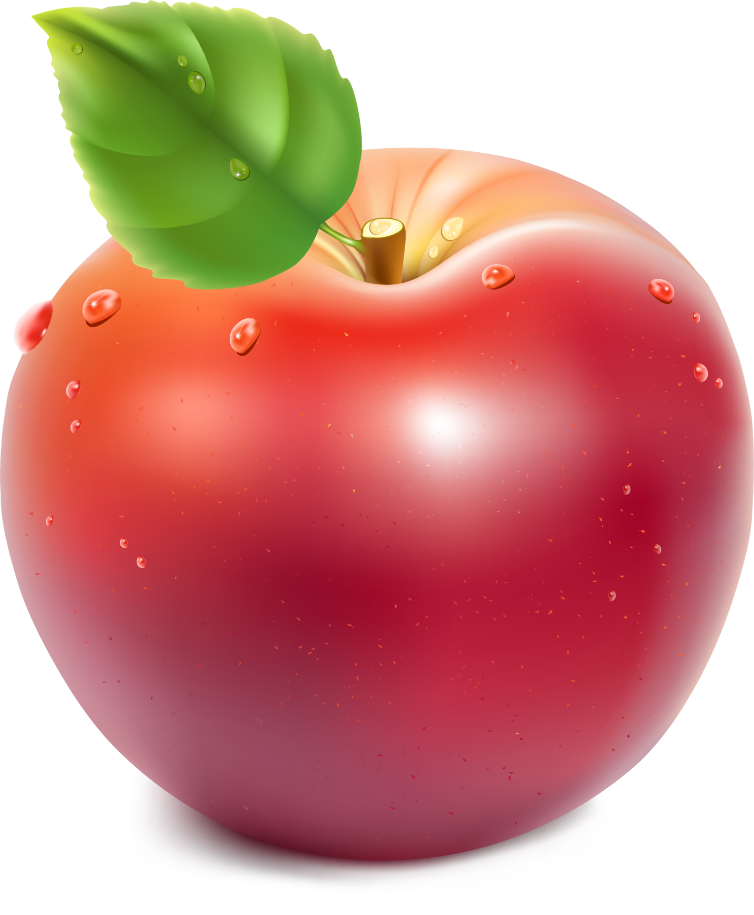 Apple Royalty-free Clip Art - Vector Graphics (1500x1821), Png Download