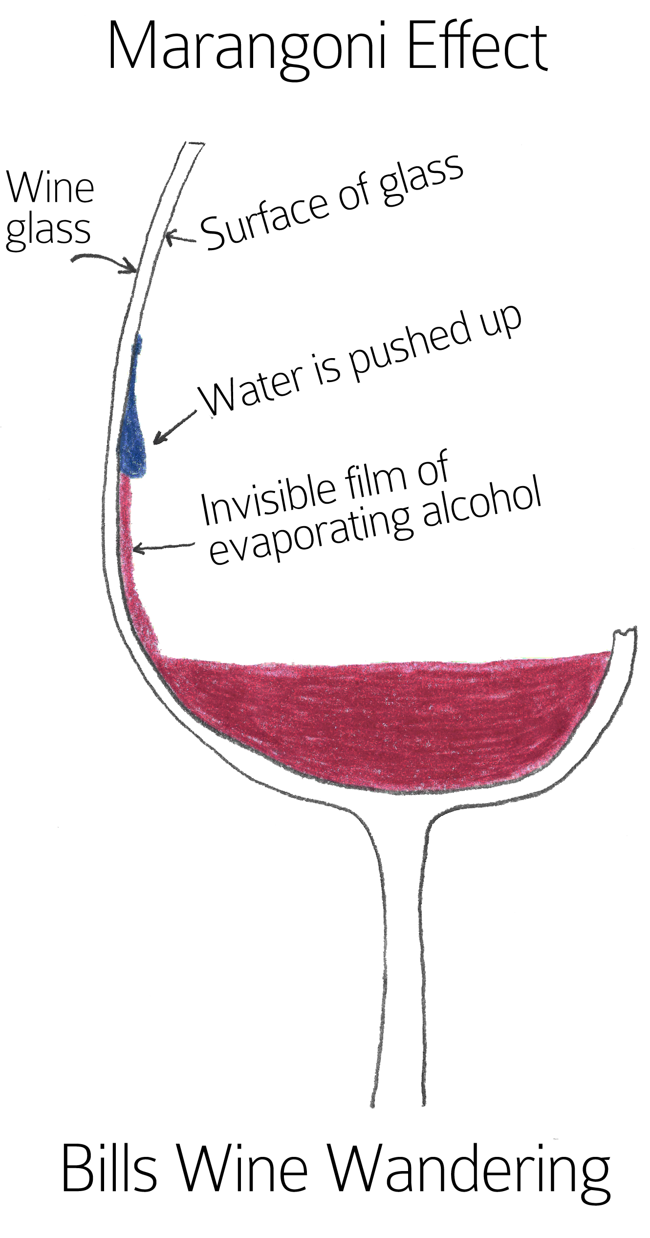 Wine Legs Or Tears (1342x2583), Png Download