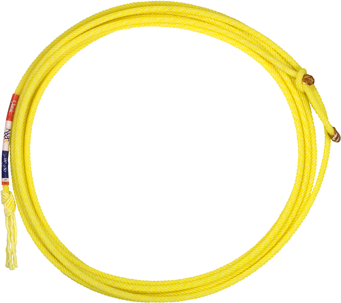 Circle (1200x1200), Png Download