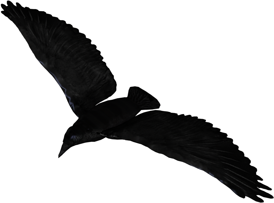 Raven Flying Png Pic - Raven Flying Transparent Background (1024x724), Png Download
