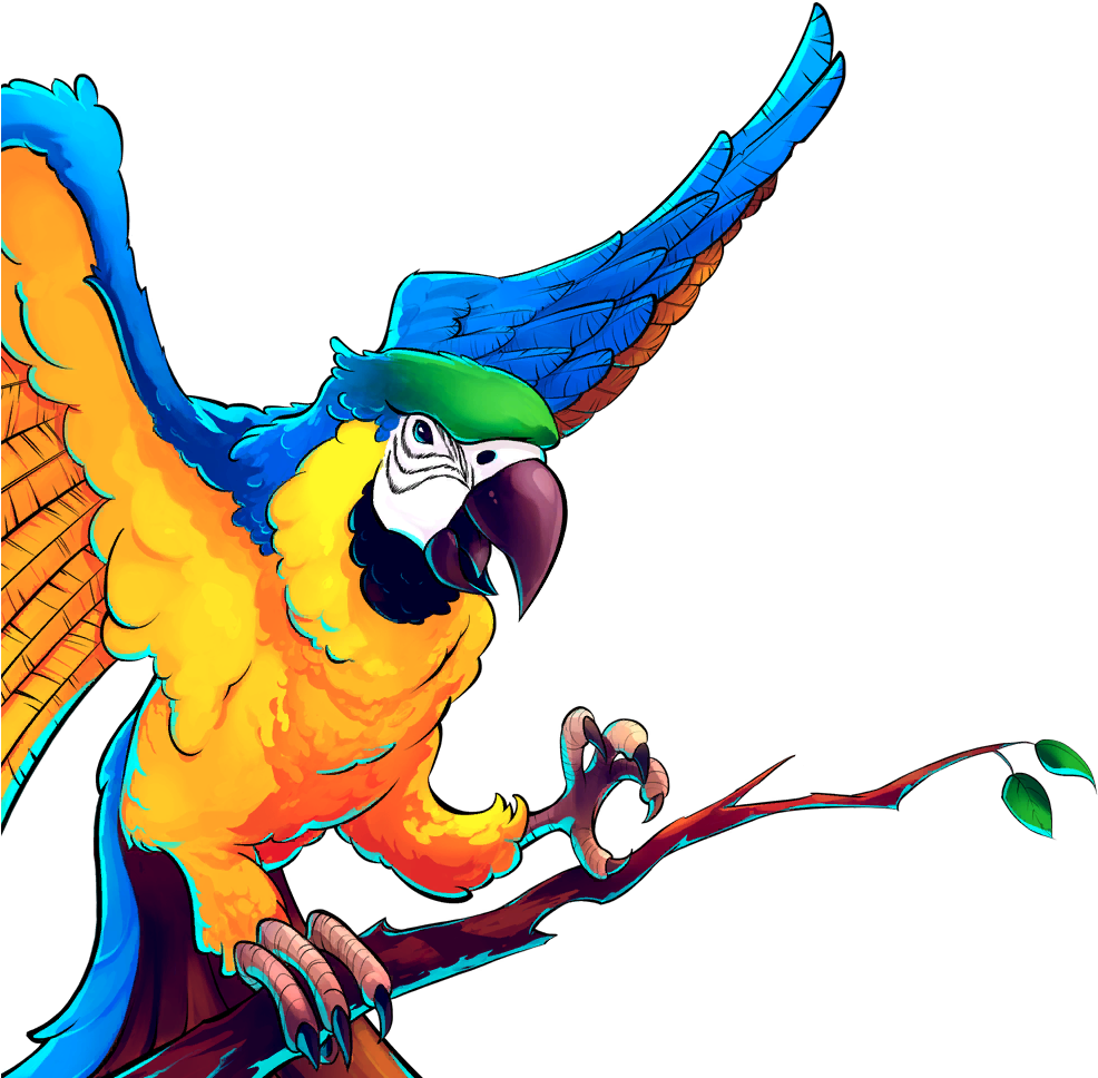 Troop Parrot - Parrot (1024x1024), Png Download