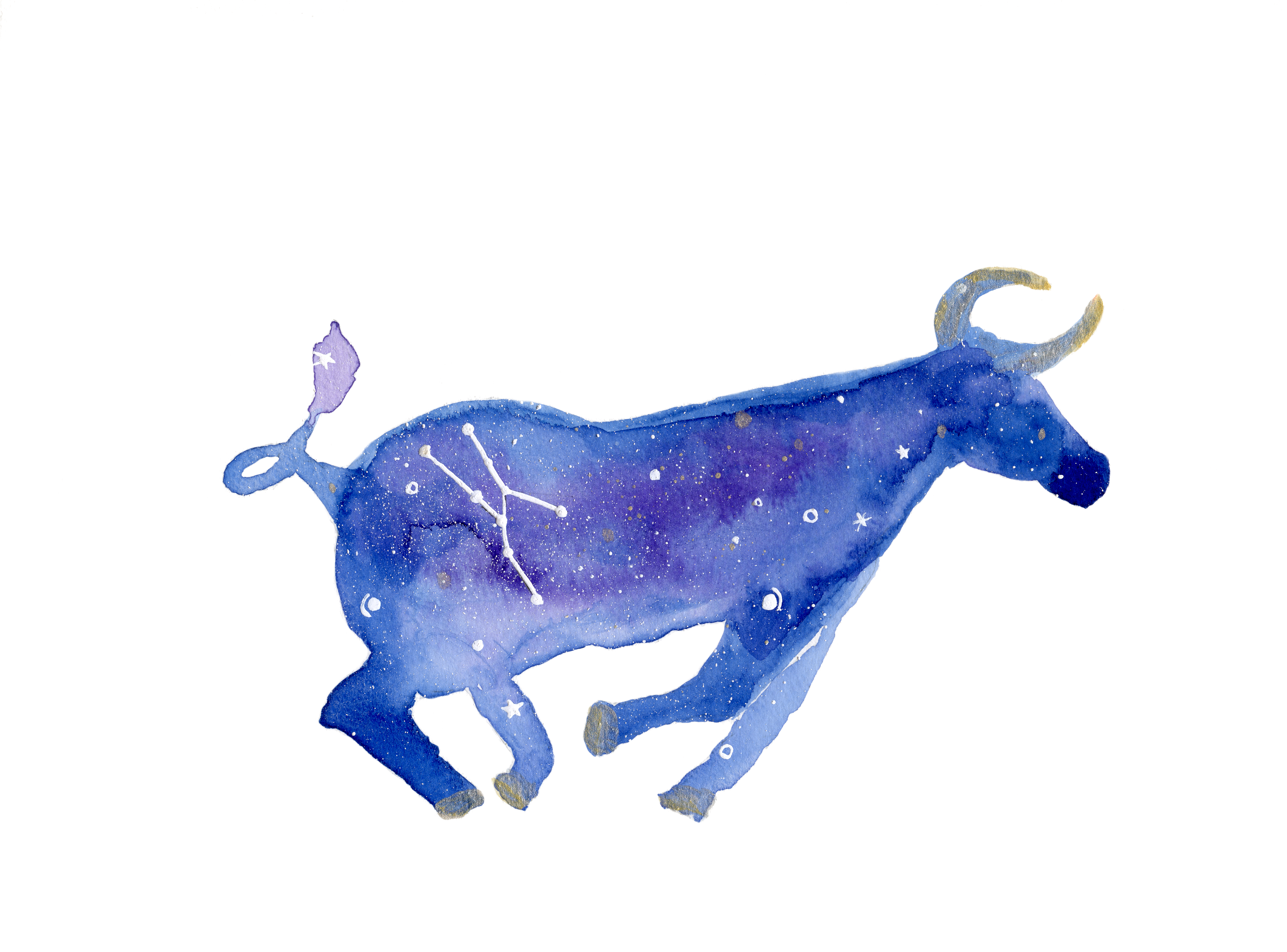 Taurus Ink And Watercolor (7124x5777), Png Download