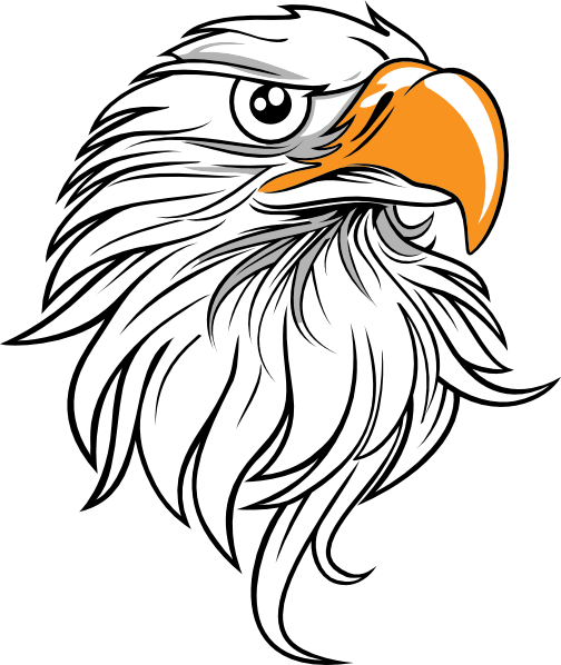 Free Library Bald Eagle Head Clipart - Eagle Head Vector Png (492x599), Png Download