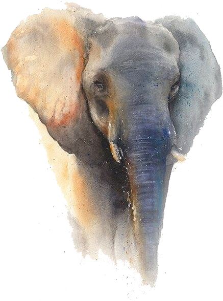 Elephant Sticker - Framed Poster Prints - Elephant By Eric Sweet (492x590), Png Download