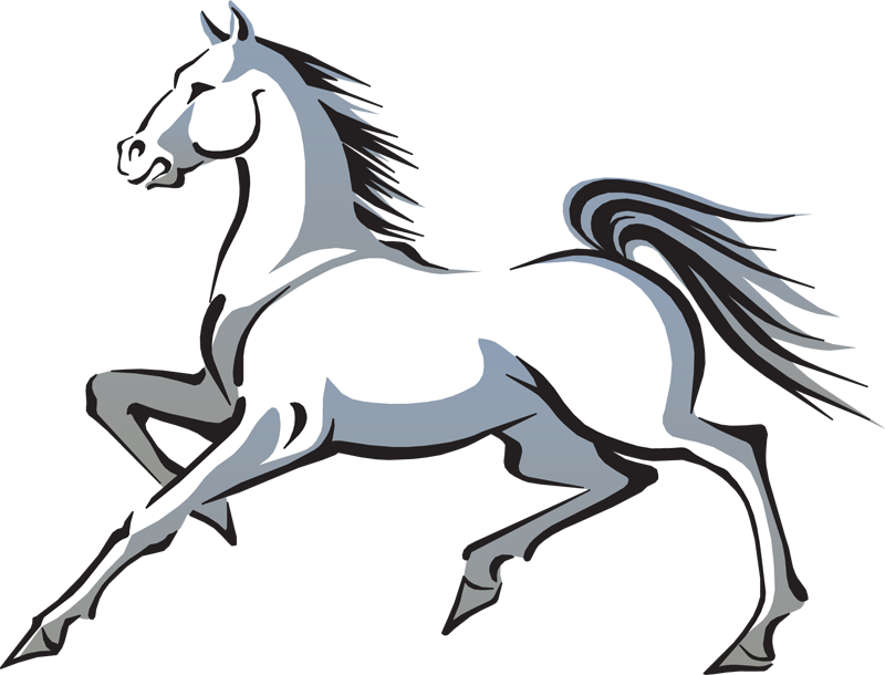 Free Dallas Cowboys Clip Art - White Horse Clipart (800x610), Png Download