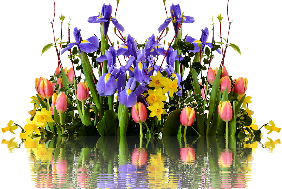 Spring Flower Transparent Png - Tulipán Nárcisz Ibolya Virágcsokor (960x637), Png Download