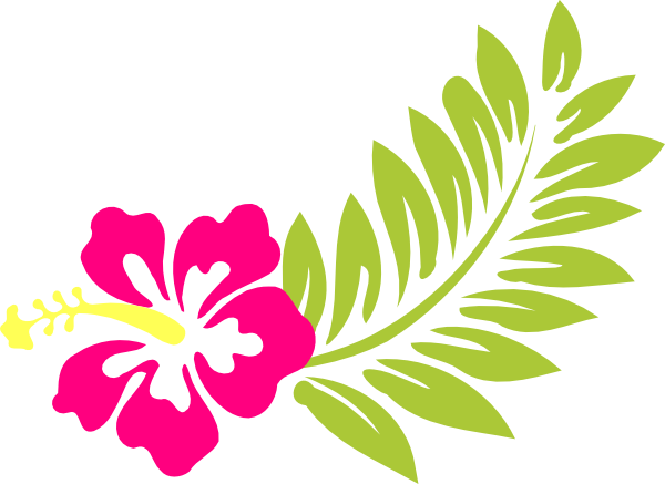 37 Watercolor Hibiscus Flowers, Coral Vines, Butterflies, - Pink Hibiscus Clip Art (600x437), Png Download