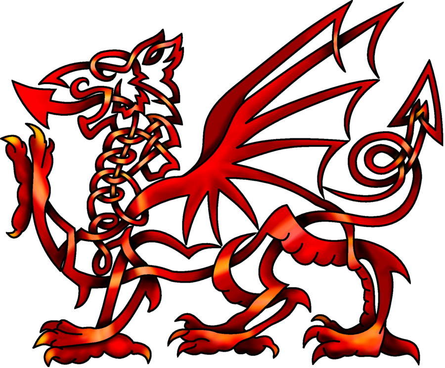 Celtic Knot Welsh Dragon (900x745), Png Download